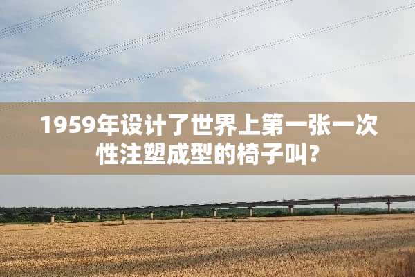 1959年设计了世界上第一张一次性注塑成型的椅子叫？