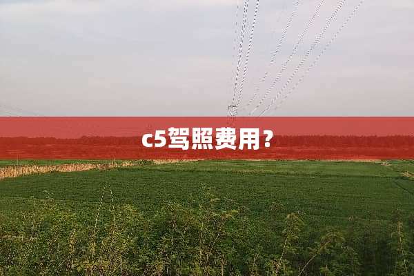 c5驾照费用？