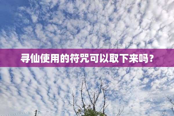 寻仙使用的符咒可以取下来吗？