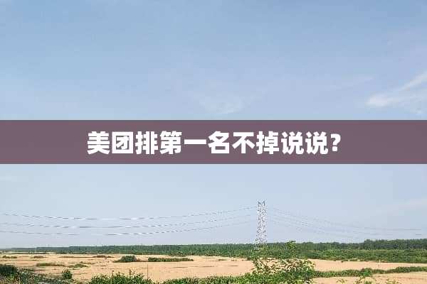 美团排第一名不掉说说？