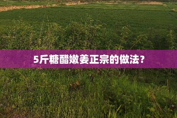 5斤糖醋嫩姜正宗的做法？