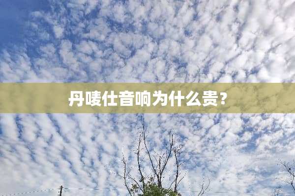 丹唛仕音响为什么贵？