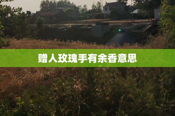 赠人玫瑰手有余香意思