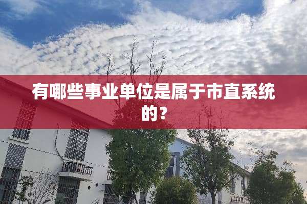 有哪些事业单位是属于市直系统的？