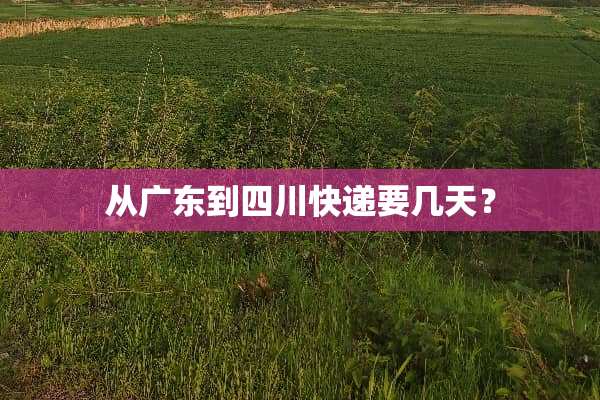 从广东到四川快递要几天？