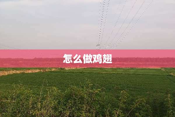 怎么**翅