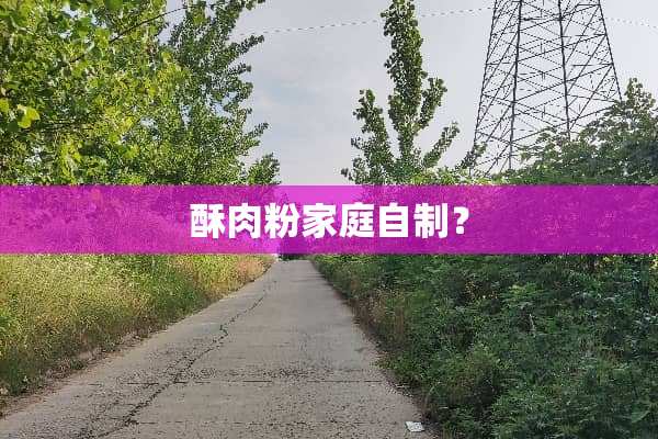 酥肉粉家庭自制？