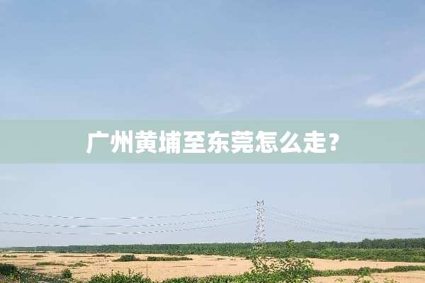 广州黄埔至东莞怎么走？