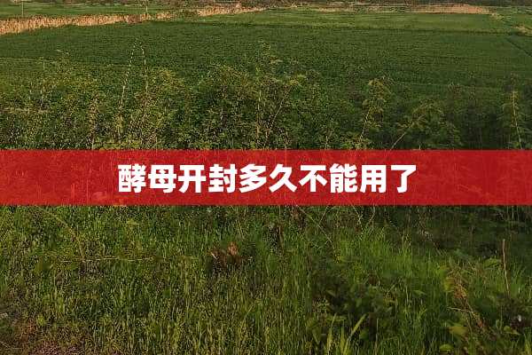 酵母开封多久不能用了