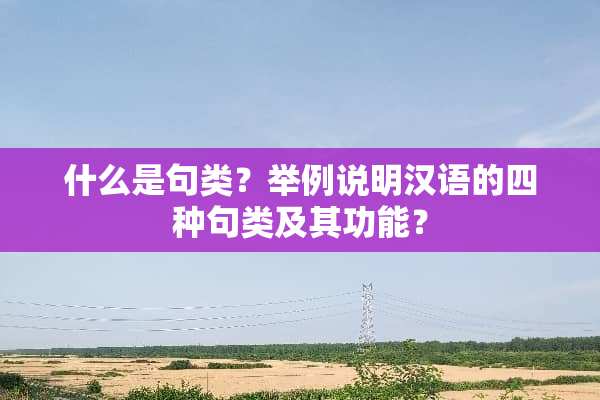 什么是句类？举例说明汉语的四种句类及其功能？