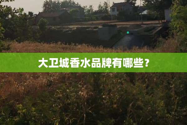大卫城香水品牌有哪些？