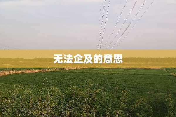 无法企及的意思