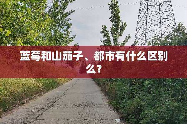 蓝莓和山茄子、都市有什么区别么？