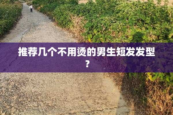 推荐几个不用烫的男生短发发型？
