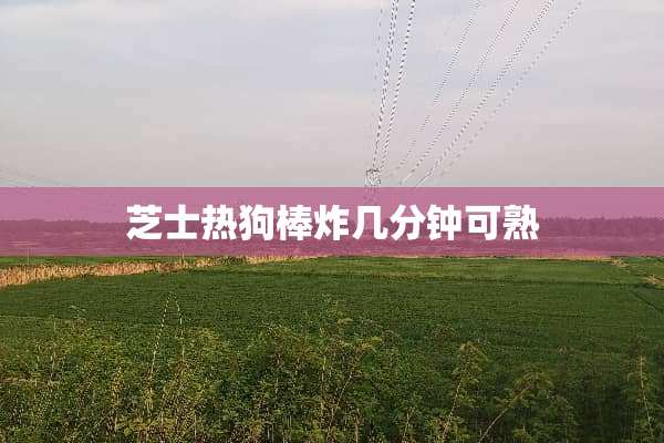 芝士热狗棒炸几分钟可熟