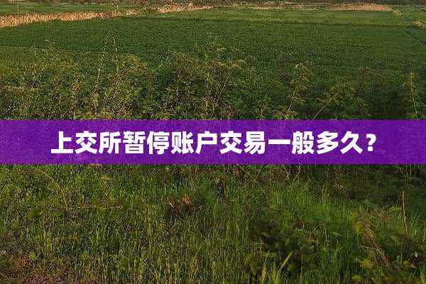 上交所暂停账户交易一般多久？
