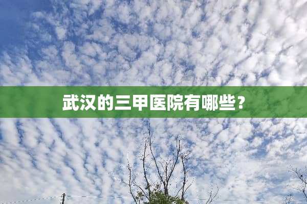武汉的三甲医院有哪些？