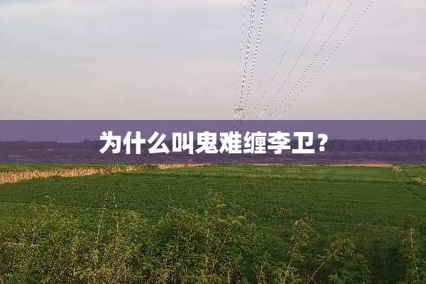 为什么叫鬼难缠李卫？
