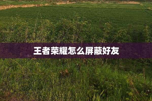 王者荣耀怎么屏蔽好友
