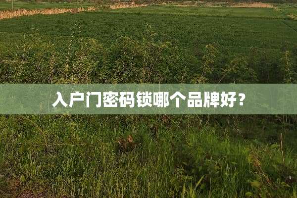 入户门密码锁哪个品牌好？