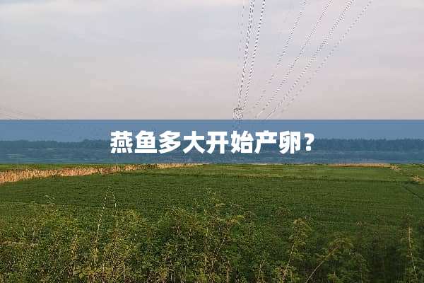燕鱼多大开始产卵？