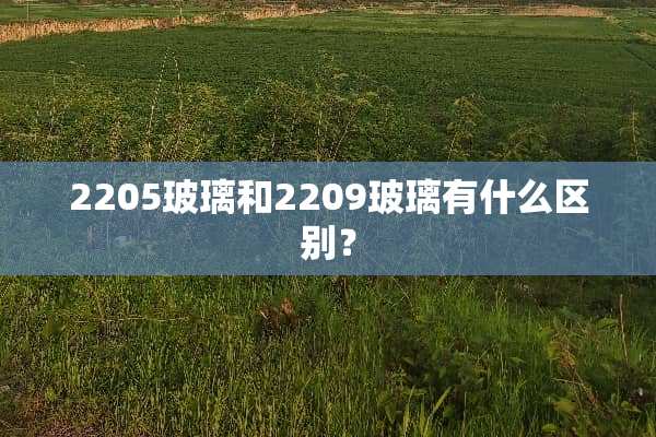 2205玻璃和2209玻璃有什么区别？