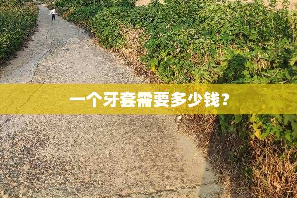 一个牙套需要多少钱？