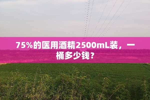 75%的医用酒精2500mL装，一桶多少钱？