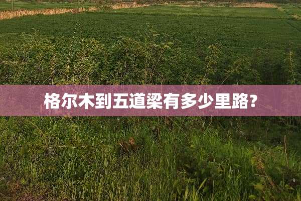 格尔木到五道梁有多少里路？