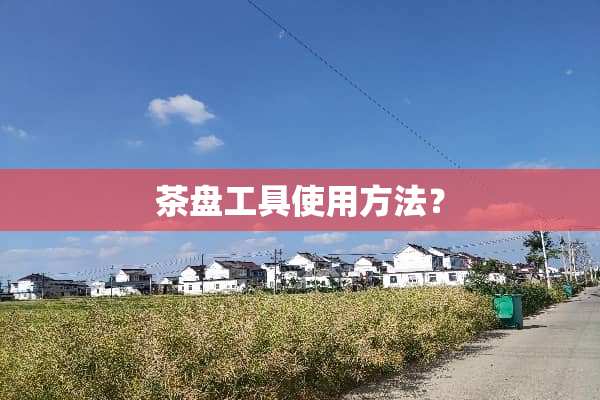 茶盘工具使用方法？