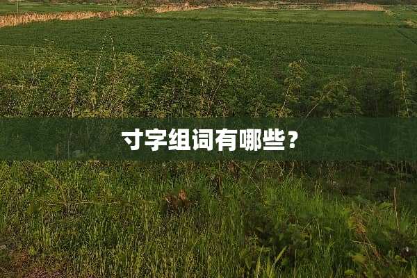 寸字组词有哪些？