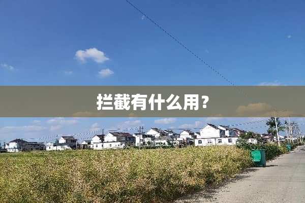 拦截有什么用？