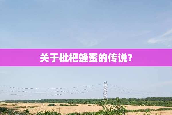 关于枇杷蜂蜜的传说？