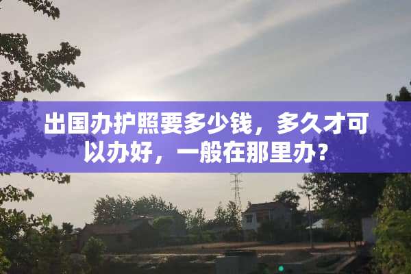 出国办护照要多少钱，多久才可以办好，一般在那里办？