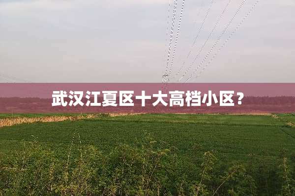 武汉江夏区十大高档小区？