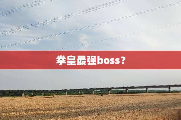 拳皇最强boss？