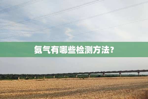 氨气有哪些检测方法？