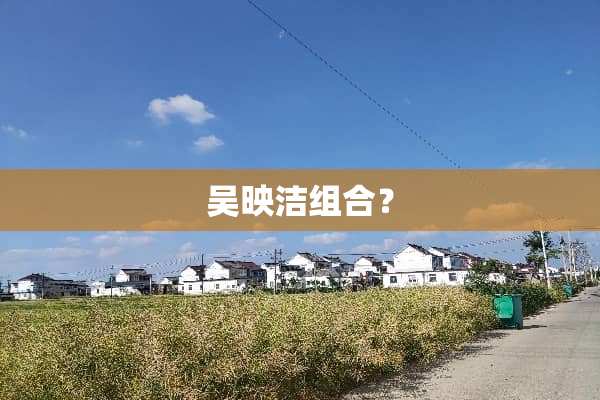 吴映洁组合？