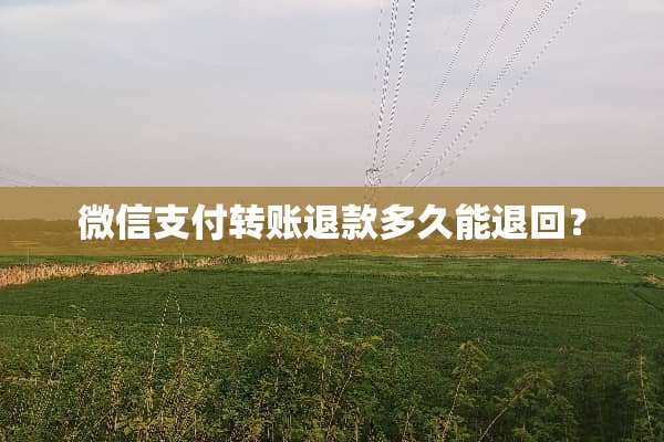 微信支付转账退款多久能退回？