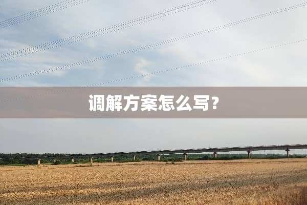 调解方案怎么写？
