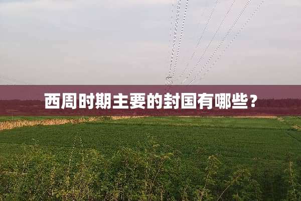 西周时期主要的封国有哪些？