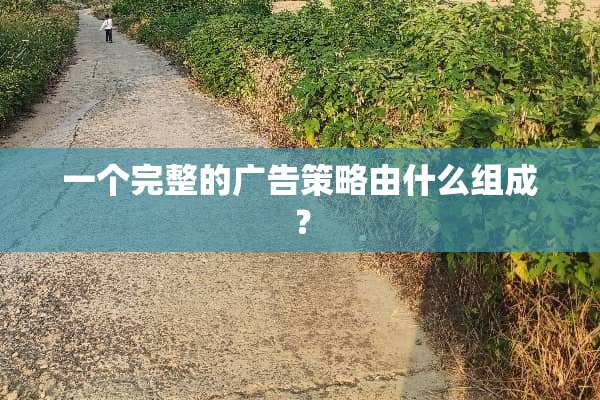 一个完整的广告策略由什么组成？