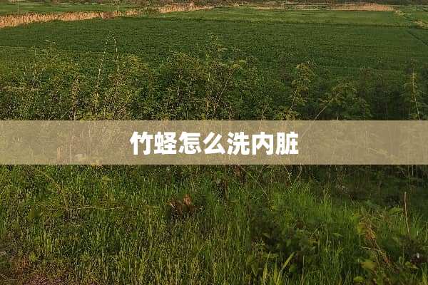 竹蛏怎么洗内脏