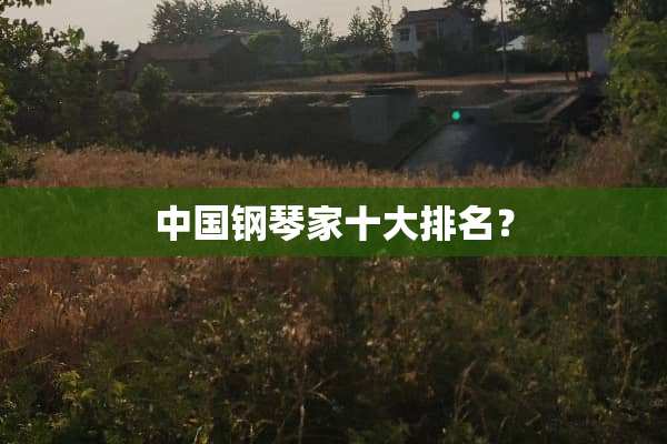 中国钢琴家十大排名？