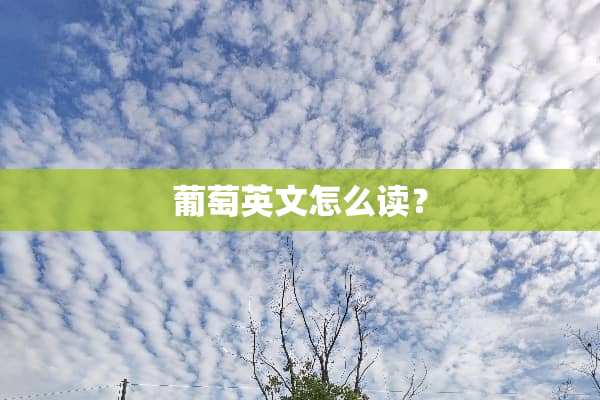 葡萄英文怎么读？