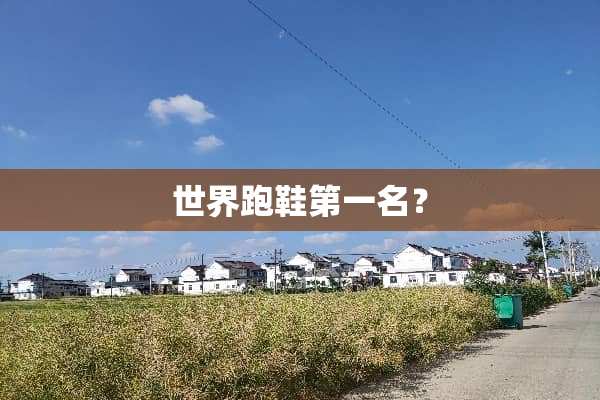 世界跑鞋第一名？