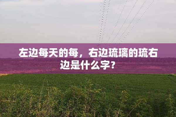 左边每天的每，右边琉璃的琉右边是什么字？
