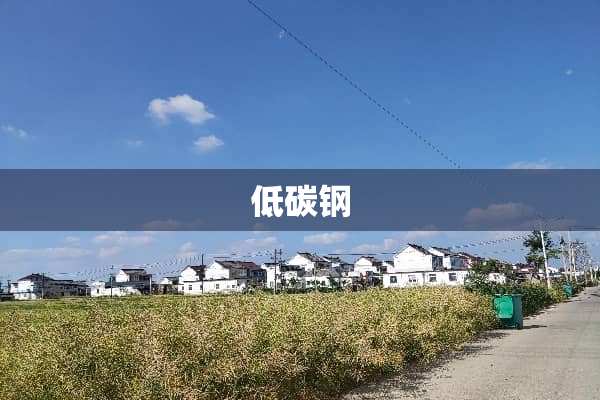 低碳钢