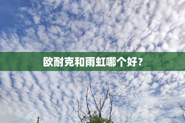 欧耐克和雨虹哪个好？