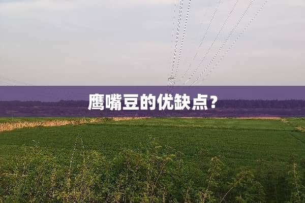 鹰嘴豆的优缺点？